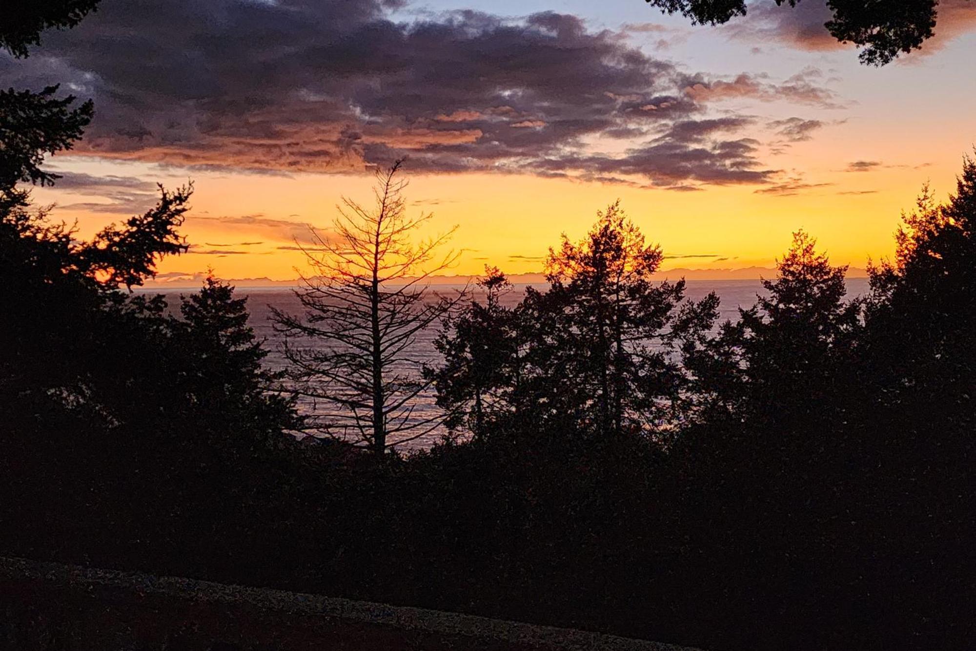 Happy Hill Retreat Βίλα Shelter Cove Δωμάτιο φωτογραφία