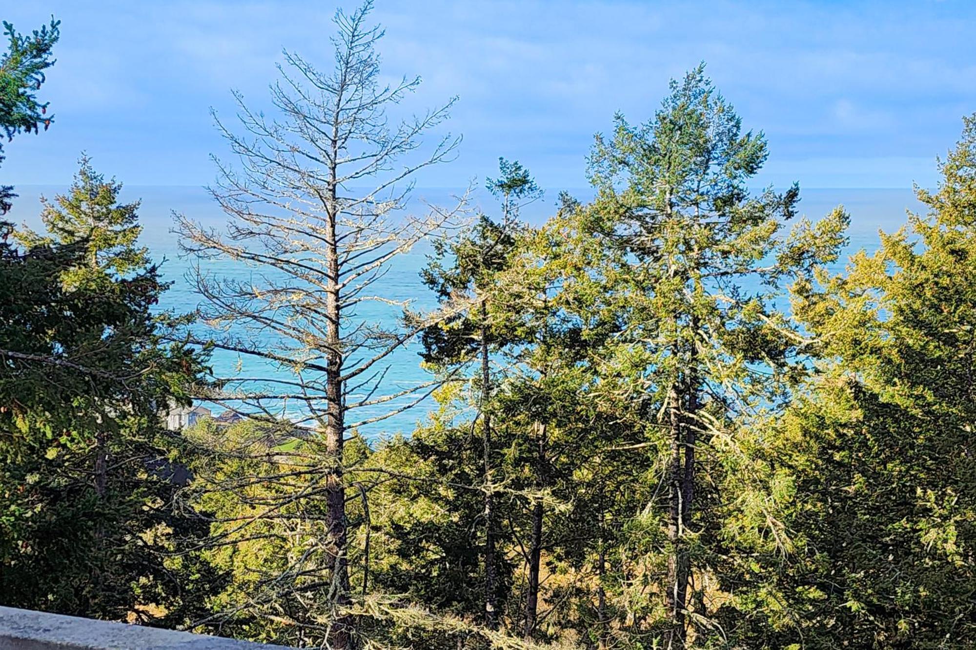 Happy Hill Retreat Βίλα Shelter Cove Δωμάτιο φωτογραφία